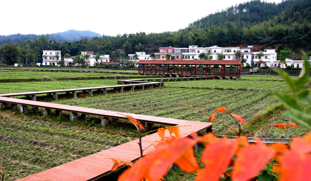 花都区梯面镇红山村.